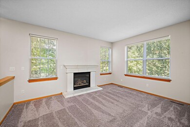 Gas Fireplace and natural light
