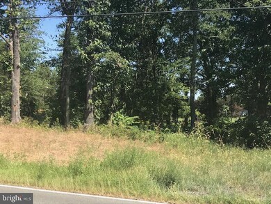 4550 Dumfries Road - Route 605 Nearest Fairmeadow Ln, Catlett, VA 20119 - photo 5