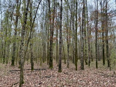 10 Acres Reed Rd, Starkville, MS 39759 - photo 6