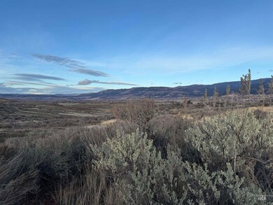 TBD Deer Loop Rd (32 Ac), Council, ID 83612 - photo 6