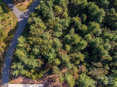 2342 Waterside Dr unit 81, Valdese, NC 28690 - photo 3