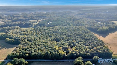 20 Acres Little Coffman Rd, Lester, AL 35647 - photo 7