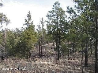 2014 Judy ranch rd2