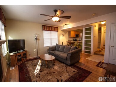 Gas Fireplace