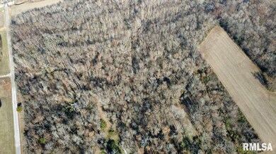 0000 N Dartmouth Ln, Mount Vernon, IL 62864 - photo 5