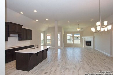 25839 Warbler View, San Antonio, TX 78255 - photo 5