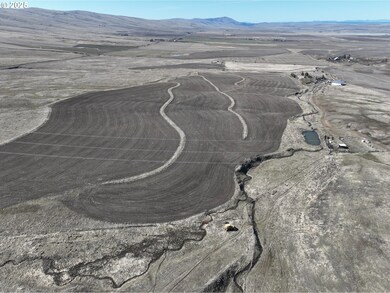 756 Cameron Rd, Centerville, WA 98613 - photo 5