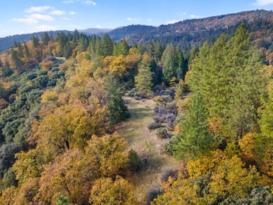 1 Starkes Grade Rd, Pollock Pines, CA 95726 - photo 7