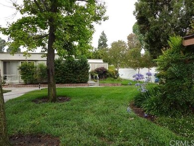Parklike landscaping