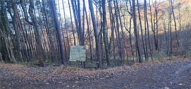 0 Reed Rd, Ringgold Township, PA 16240 - photo 2