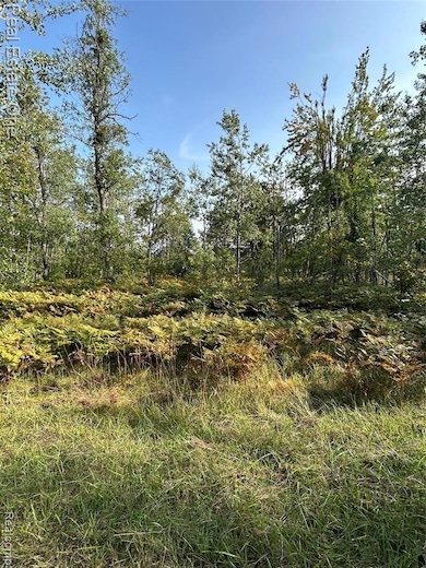 LOTS 1818 and 1819 Falcon Way, Otsego Lake Township, MI 49735 - photo 2