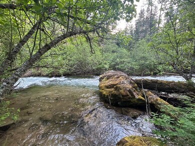 33 Timber Meadows Ln, Trout Creek, MT 59874 - photo 6
