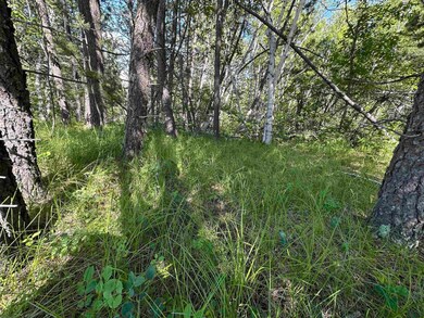 TBD Rocky Point Rd unit TBD Rocky Point Road, Lead, SD 57754 - photo 5