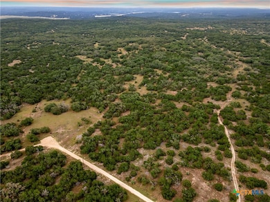 LOT 35B Pr 2533, Mico, TX 78056 - photo 3