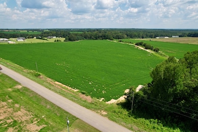 0 Judge Logue Rd, Wicksburg, AL 36352 - photo 4