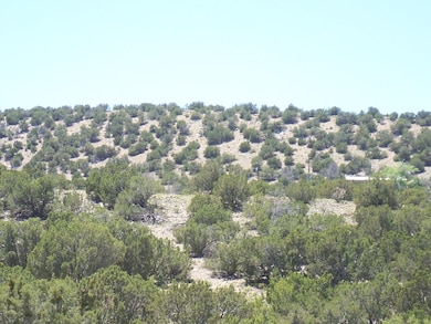 790 State Highway 165, Placitas, NM 87043 - photo 5