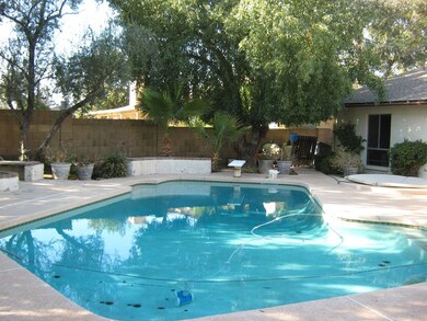 Diving Pool