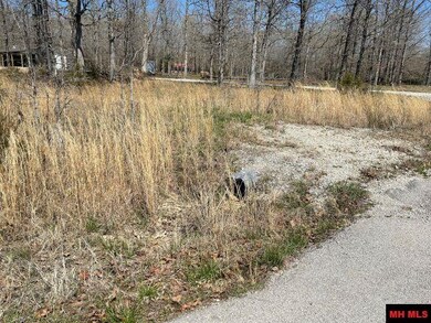 173 Ross Ln, Elizabeth, AR 72531 - photo 3