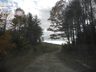 984 John Stark Hwy, Newport, NH 03773 - photo 3