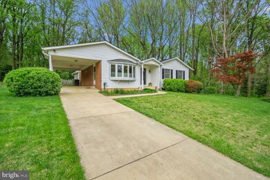 904 Cannon Rd, Silver Spring, MD 20904 - photo 3