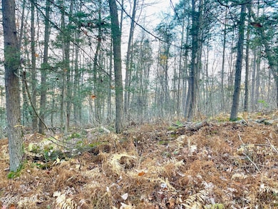 0 Shingle Run Rd, Pine Township, PA 17846 - photo 6