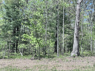 1027 Natchez Trace, Crossville, TN 38572 - photo 3