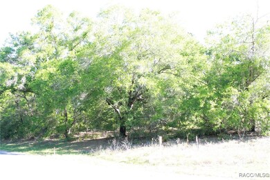 11074 N Edith Point, Citrus Springs, FL 34434 - photo 4