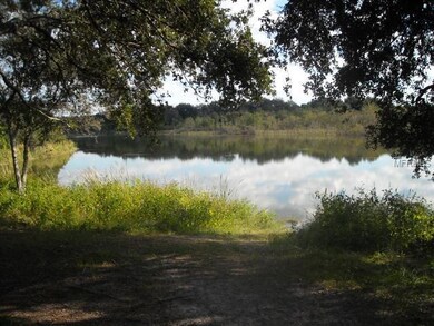 5201 Willana Ct, Tampa, FL 33610 - photo 5