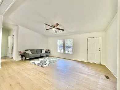 14121 Pleasant Hill Rd, Picayune, MS 39466 - photo 2