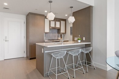 Lovejoy Wharf unit 9H, Boston, MA 02114 - photo 5