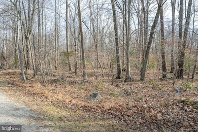 14435 Delaney Rd, Woodbridge, VA 22193 - photo 5