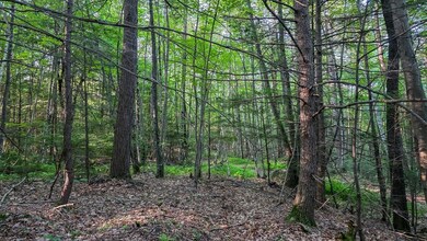 0 Northfield Rd unit 73384011, Warwick, MA 01378 - photo 7