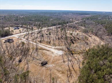 156 Alcovy Rd, Thomson, GA 30824 - photo 4