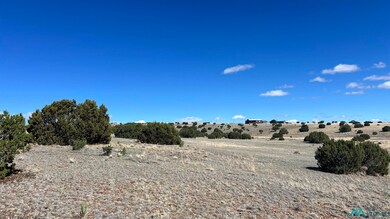 TBD Deer Cir, Quemado, NM 87829 - photo 7