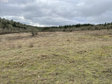 27185 SW Frys Ln, Sheridan, OR 97378 - photo 3