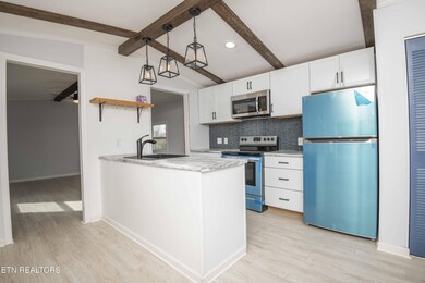 131 Valleyview Dr, Loudon, TN 37774 - photo 4