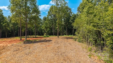 1853 Hill River Rd unit 1, Hiddenite, NC 28636 - photo 3