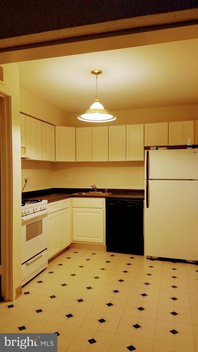 5858 Thunder Hill Rd unit A1, Columbia, MD 21045 - photo 6