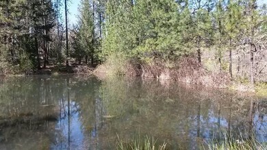 0 Tl 1800 Butte Falls Hwy unit 102976370, Butte Falls, OR 97524 - photo 5