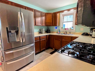 209 Burt St, Tecumseh, MI 49286 - photo 6