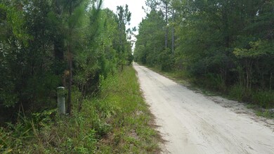 0 Hamlin Ln, New Smyrna Beach, FL 32168 - photo 2