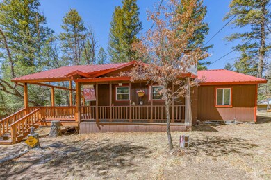 32 Big Tree Ln, Cloudcroft, NM 88317 - photo 5
