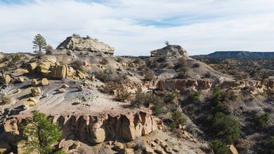 0 Nsn Highway 36 unit 25747167, Fence Lake, NM 87513 - photo 4