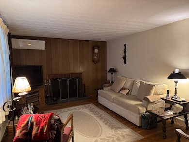 55 Ivan St, Lexington, MA 02420 - photo 5