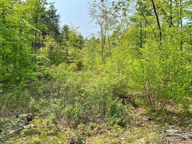 00 Dingley Spring Rd, Gorham, ME 04038 - photo 3