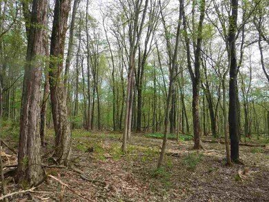 54 Rose Ln, Rensselaer, NY 12144 - photo 5