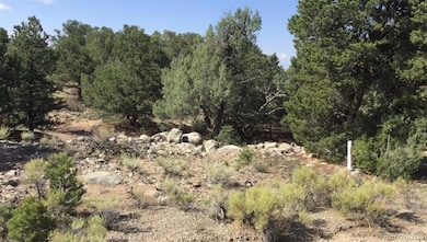3514 Forest Trail Overlook, Crestone, CO 81143 - photo 6