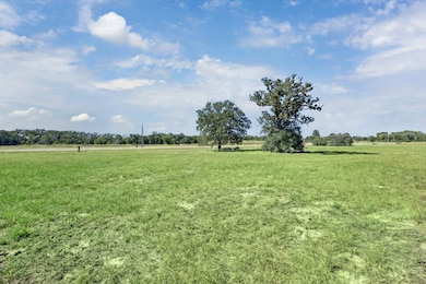 105 Nyala Ln, Rosanky, TX 78616 - photo 3