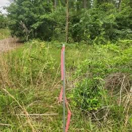 0 Pleasant Grove Church Rd, Albany, GA 31705 - photo 7