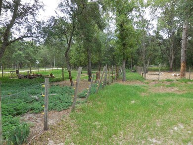 7451 SE 214th Ave, Morriston, FL 32668 - photo 6